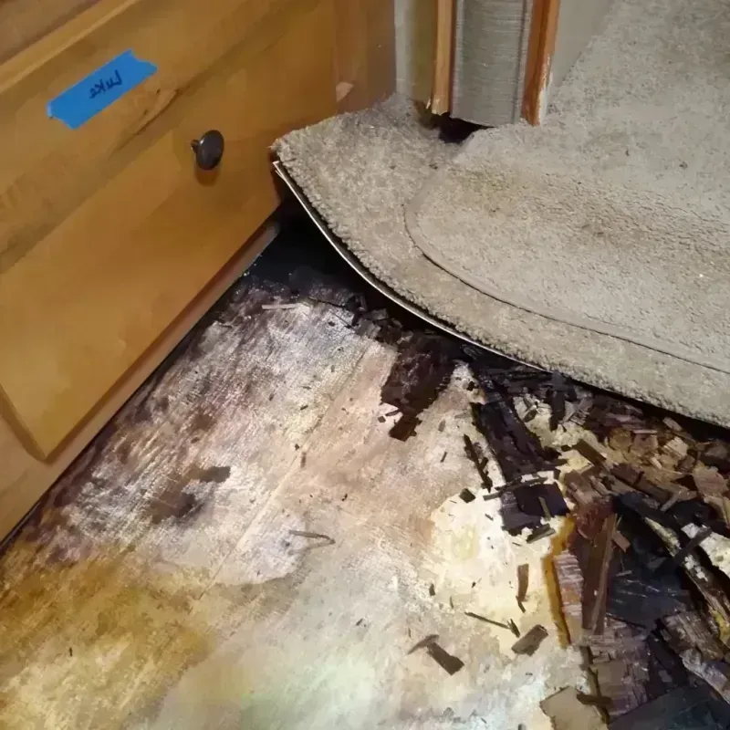 Wood Floor Water Damage in Locust, NC